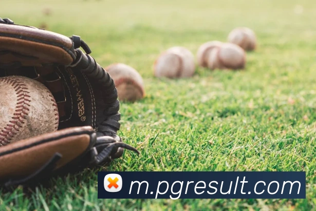 pg电子平台生态图