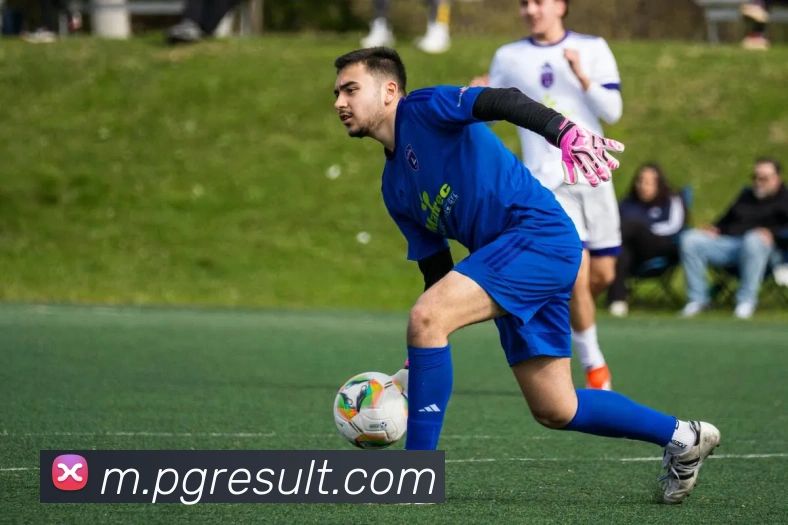 pg电子全站App pg电子全站App